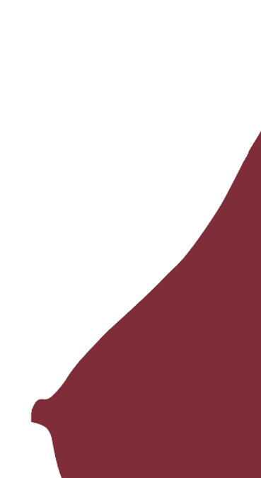 Captura de ecrã 2024-12-30, às 13.33.37.png