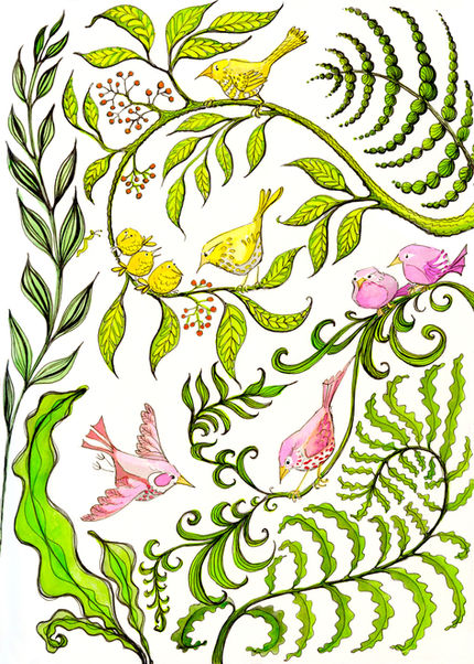 tiny coloured birds foraging amongst ferns, pen and ink with watercolour by jaymorrisillustration.com