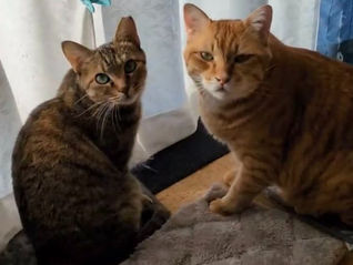 む~ちゃん、近況報告です。