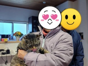 かすやニャンズ✨ロッキーくん、譲渡便り