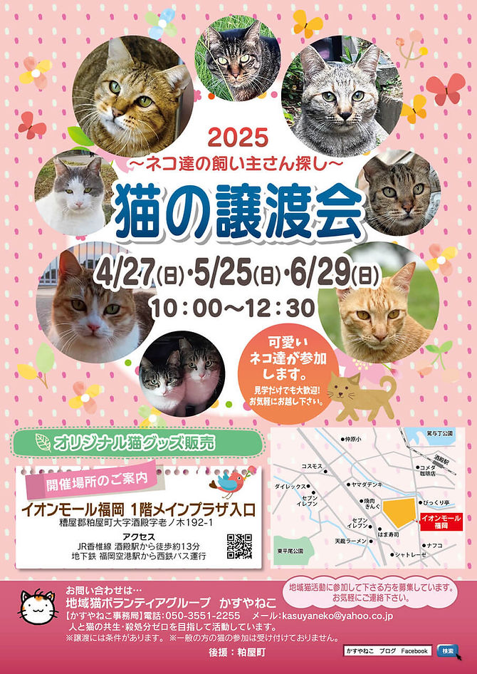 にゃん活さま 5月25日(日)譲渡会開催のお知らせ