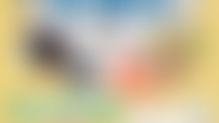 9月28日(日)譲渡会開催のお知らせ