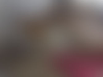 あんこちゃん😺、行方不明→発見→保護、元気に食べるようになりました!
