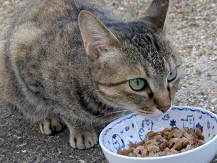 むーちゃん捕獲、しました!!!