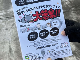 早朝の新聞配達？！