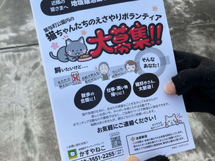 早朝の新聞配達？！