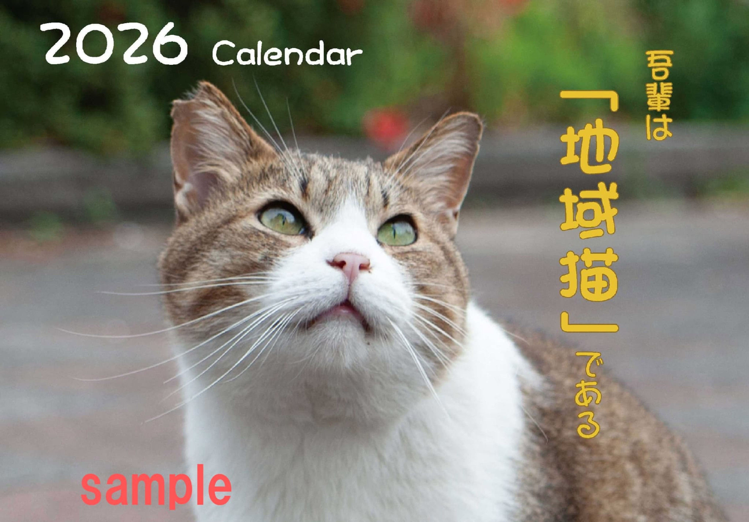 地域猫カレンダー「吾輩は”地域猫”である 2026」発売！！