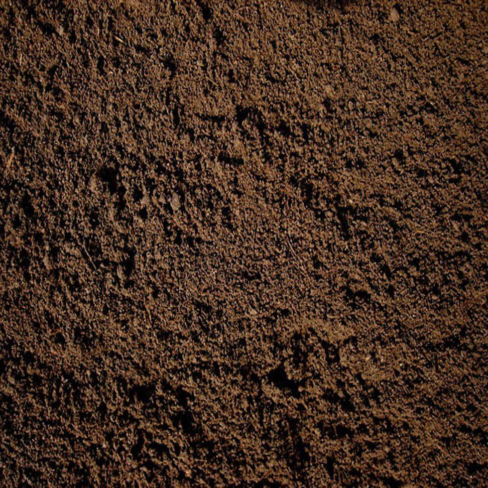 top_soil_2_copy.jpg