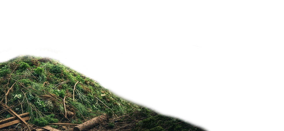 green waste photo.png