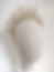 gold crystal crown from the front
