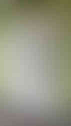 antikvarisk arbeid, maling, dør