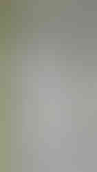 antikvarisk arbeid, maling, dør