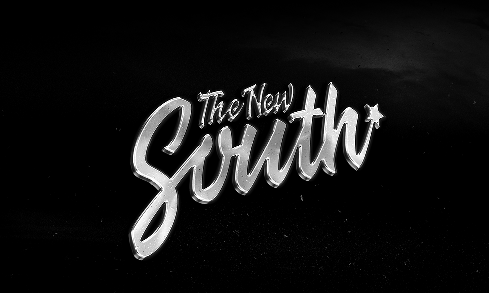 03 logo kasdsgn new south.png