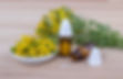 Foto, Naturheilkunde.jpg