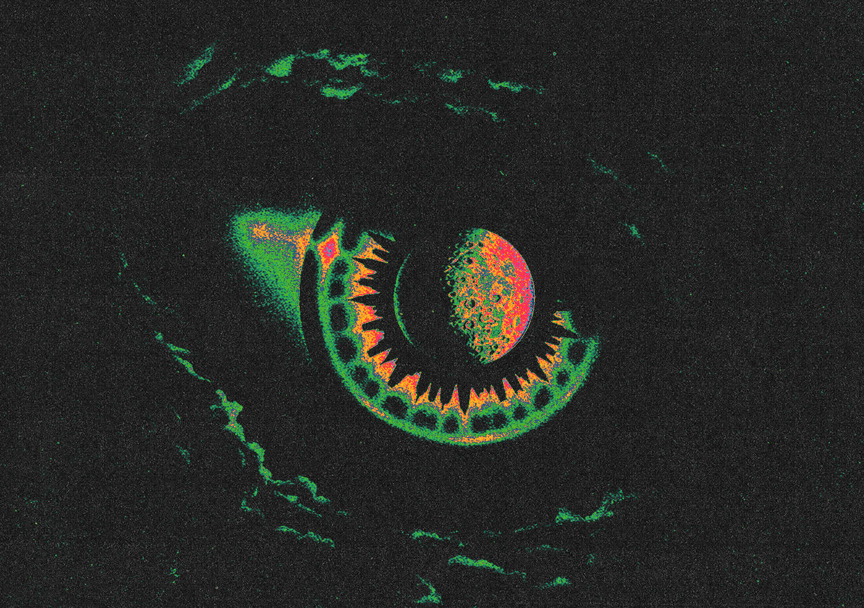 An image of a butterfly that is warped to stretch outwards of the bottom of the frame. Background is beige.