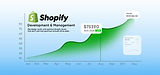 shopify ecom diagonals.jpg