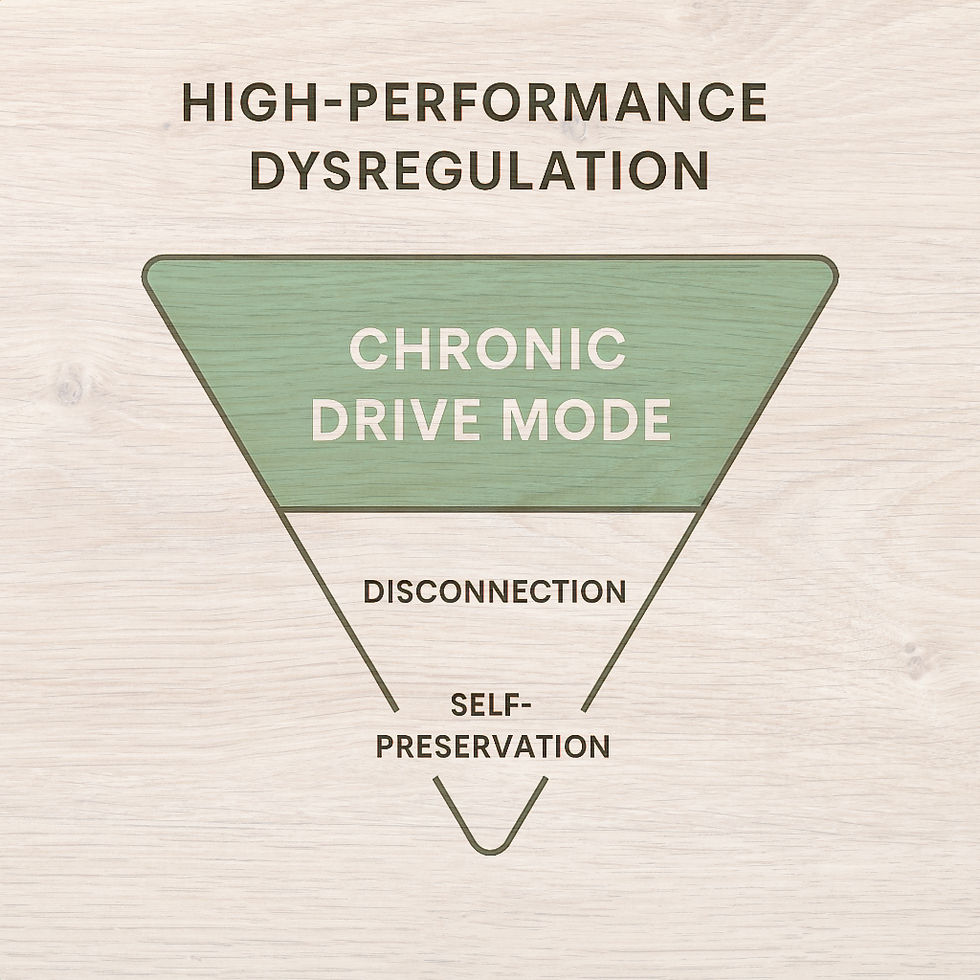 Text chart with "High-Performance Dysregulation" above an inverted triangle. Triangle segments: "Chronic Drive Mode," "Disconnection," "Self-Preservation."