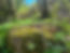 183813311_502205317575714_54087572928130
