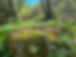 183813311_502205317575714_54087572928130