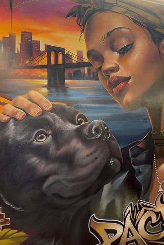 Bekijk recente foto's.png