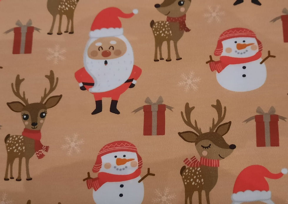 Miniaturbild: Langarmshirt "Mein erstes Weihnachten"