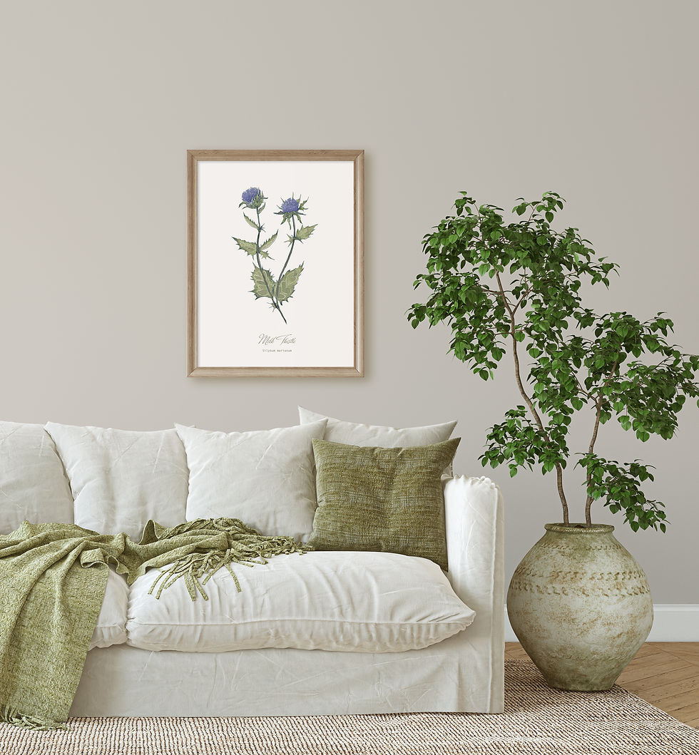 Thumbnail: Milk Thistle Botanical Print