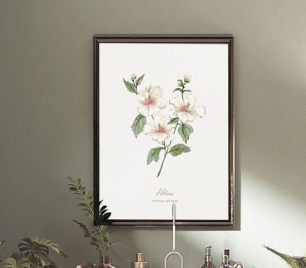 Thumbnail: Hibiscus Botanical Print