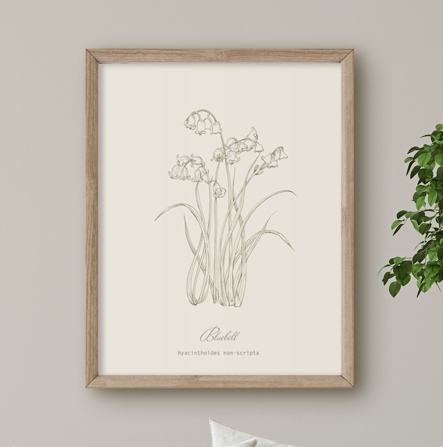 Bluebell Botanical Line Print