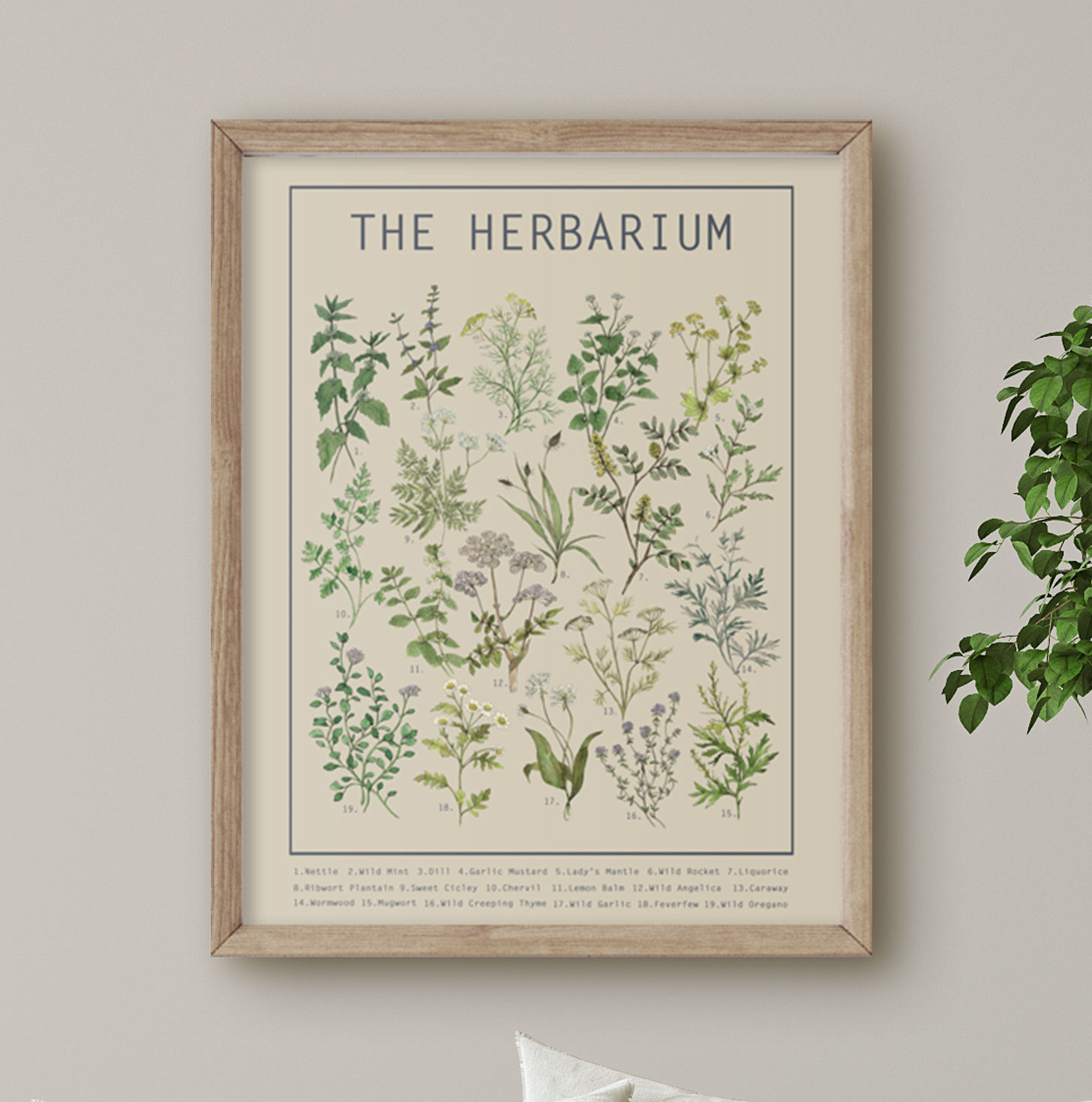 Herbarium Botanical Poster - Light