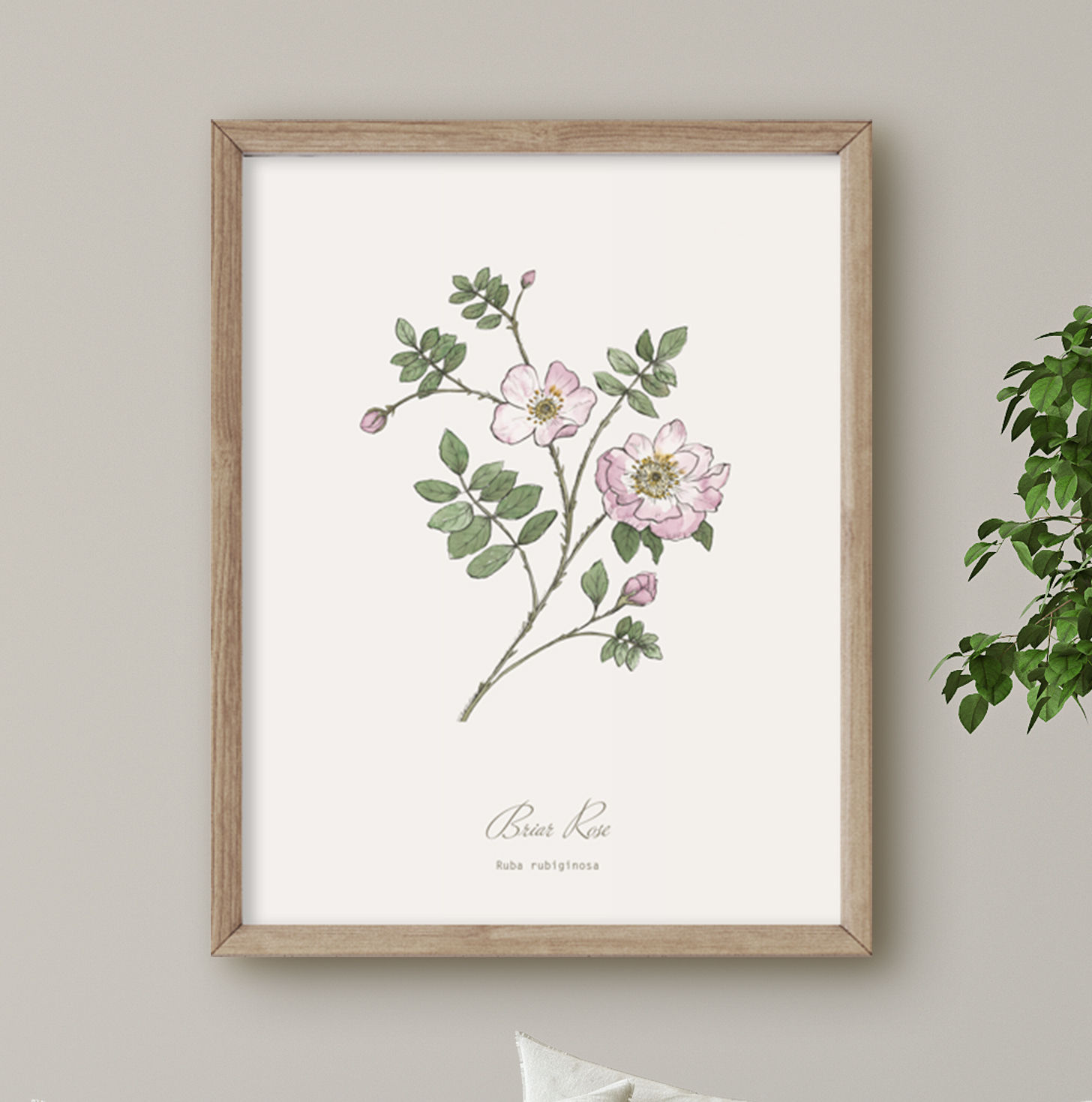 Briar Rose Botanical Print