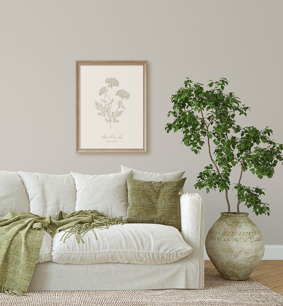 Thumbnail: Queen Anne's Lace Botanical Line Print