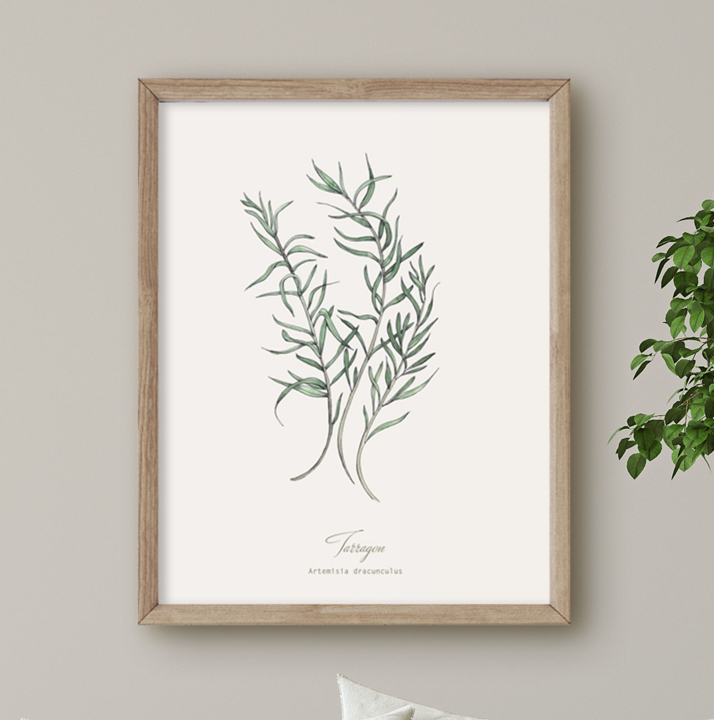 Tarragon Botanical Print