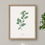 Thumbnail: Basil Botanical Print