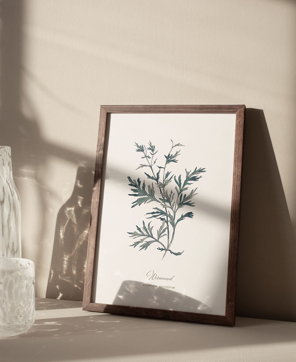 Thumbnail: Wormwood Botanical Print