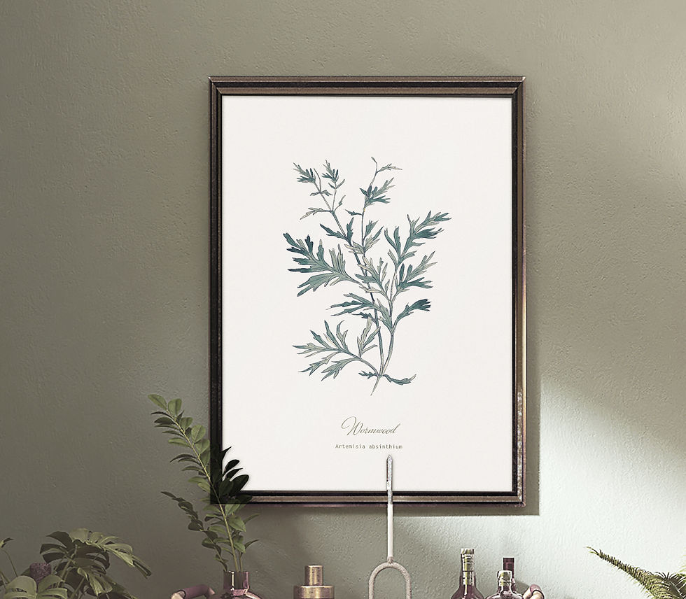 Thumbnail: Wormwood Botanical Print