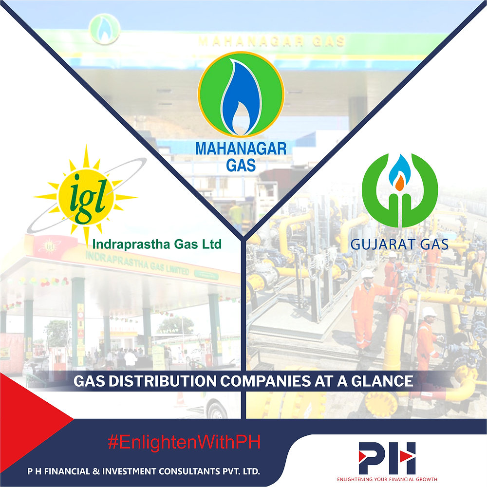 GAS DISTRIBUTION COMPANIES AT A GLANCE