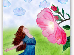 De florais e navegação