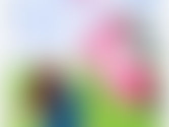 De florais e navegação