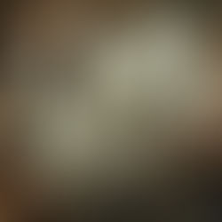 Floral Indian Pipe(Pacífico) e minha perplexidade