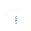 caslogo_whitegreen-10.png