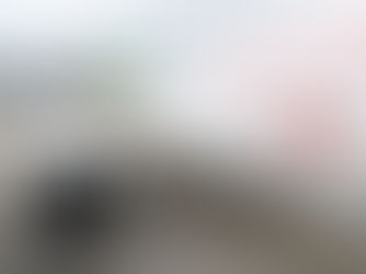 China's C919 Jetliner Marks Key Milestones, Delivers to 3 Carriers