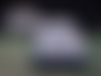 BYD and Li Auto Lead Record-Breaking Month for Chinese EV Sales