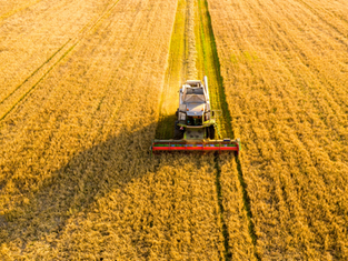 U.S.-China Trade War Intensifies with China’s Fresh Tariffs on U.S. Agriculture