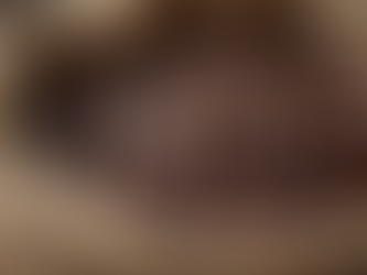 The Journey of Quality Coffee Beans: From Farm to Cup