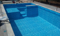 Golfinho 3D