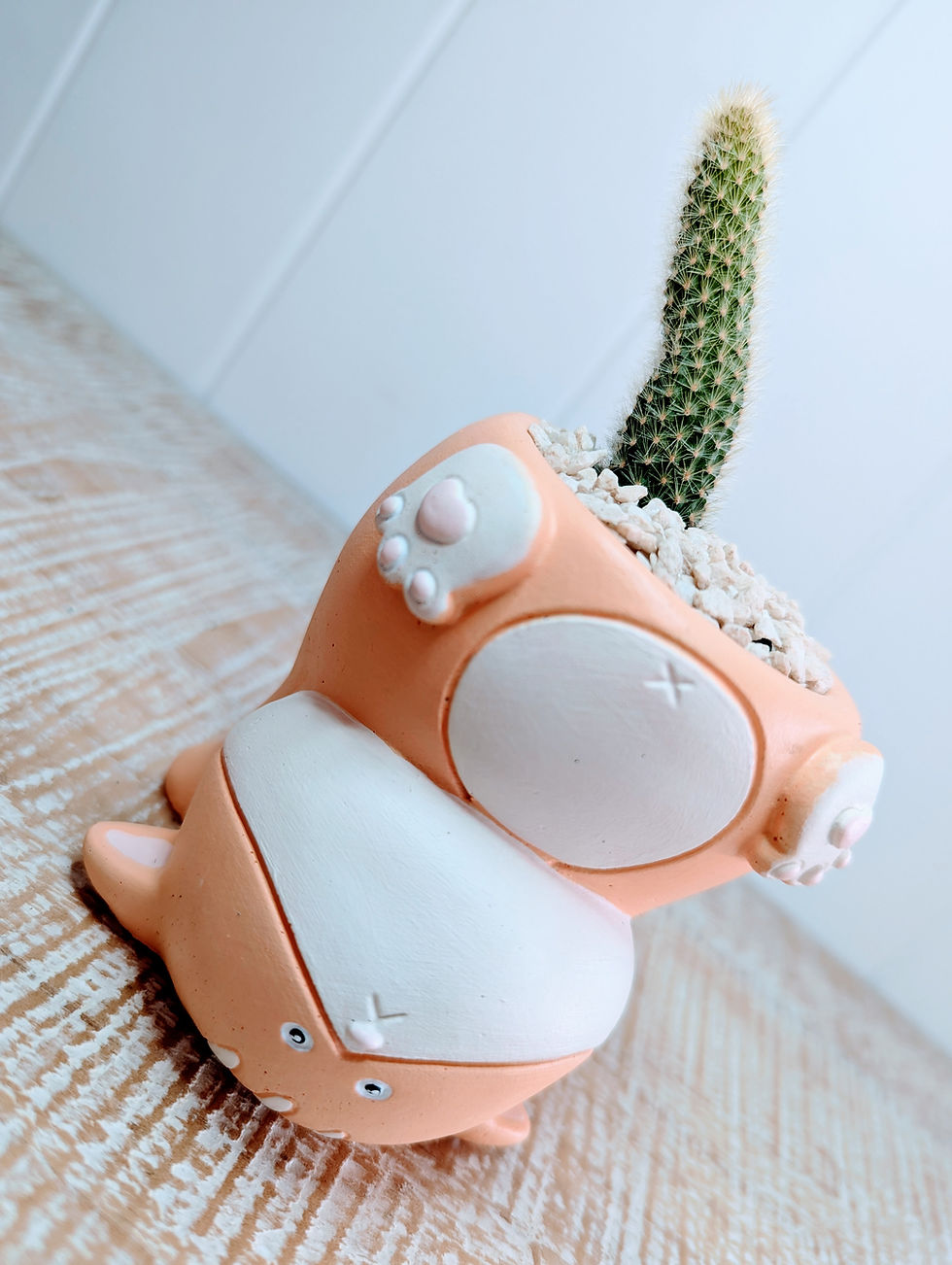 Dorito Cleistocactus Cat Planter