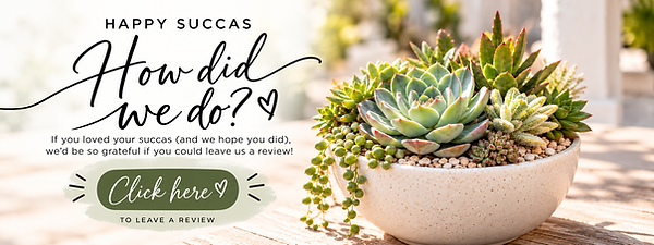 Happy Succas Review Invitation.png