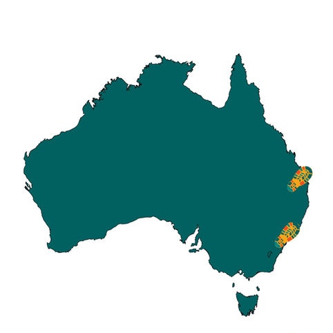 Ramble 'n Rants go GLOBAL!