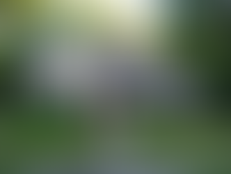 Heritage Ottawa | Patrimonie Ottawa 2025 Walking Tour Series: Island Park Drive.