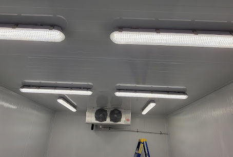 Choosing the Right Walk-in Cooler or Freezer: A Comprehensive Guide